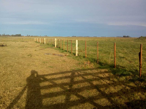 Excelente Campo De 543 Has Unico En La Zona De Cañuelas
