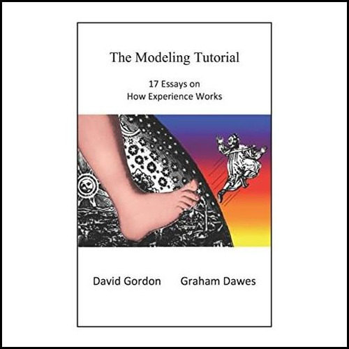 Libro: El Tutorial De Modelaje: 17 Ensayos Sobre Cómo Experi