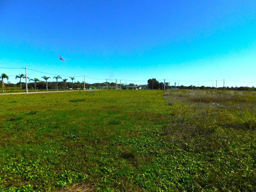 Venta Lote En El Lazo En Exaltacion De La Cruz