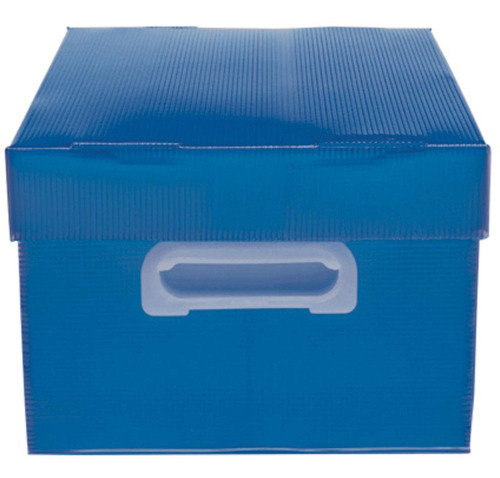 Caixa Organizadora The Best Box P 335x255x180 Az Polibras