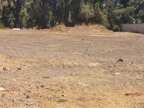 Oportunidad De Inversión: Terreno Plano (65534)
