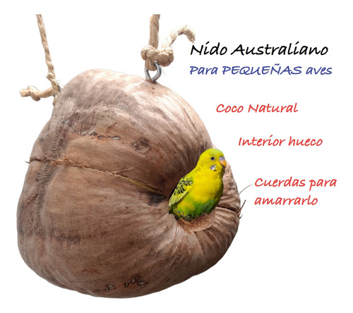 Nido Para Aves Coco Natural Para Australianos Pequeñas Aves