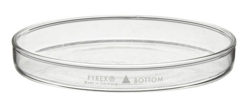 Base Sola P/caja Petri De Vidrio 100x10mm - Pyrex