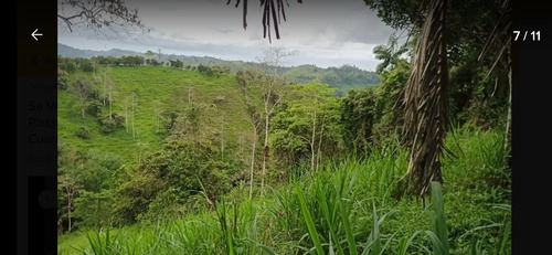 Imagen 6 de 10 de Se Vende De Oportunidad Hermosa Finca De 40 Hectáreas
