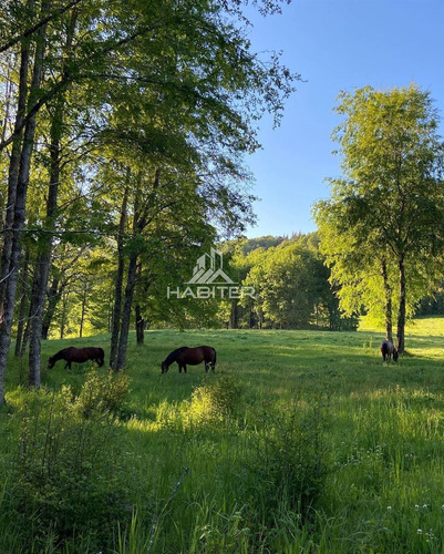 Cod34832 Agrícola Campo 122 Ha. En Venta Collipulli