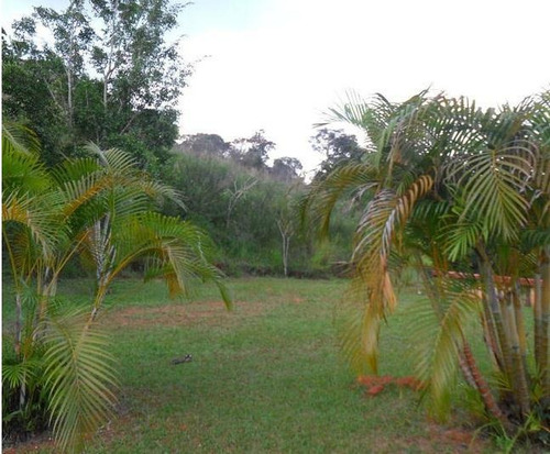 Imagem 21 de 29 de Sítio - Bairro Dos Pires - Si0165