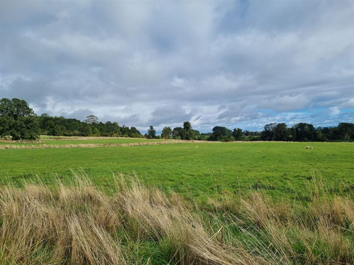 Parcelas Con Vista Al Lago Y Volcan En Venta En Puerto Varas