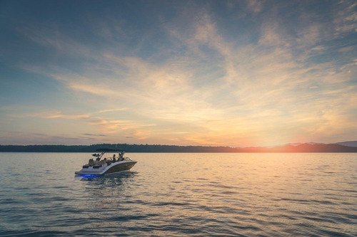 Lancha Sea Ray Sdx 290 Motor Mercury