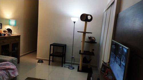 Imagem 13 de 19 de Apartamento Com 02 Dormitórios E 71 M² | Casa Verde, São Paulo | Sp - Ap313327v