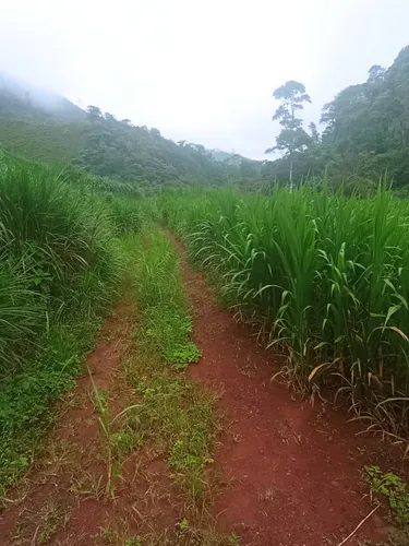 Venta De Finca - Cordero