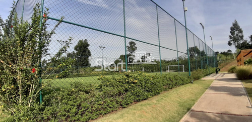 Imagem 23 de 30 de Terreno À Venda Em Vila Brandina - Te007067