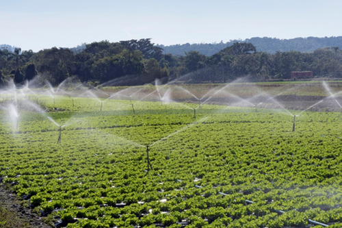 Aspersor Impacto Irrigação Im22 Rosca 1 Polegada Kit 40 Un