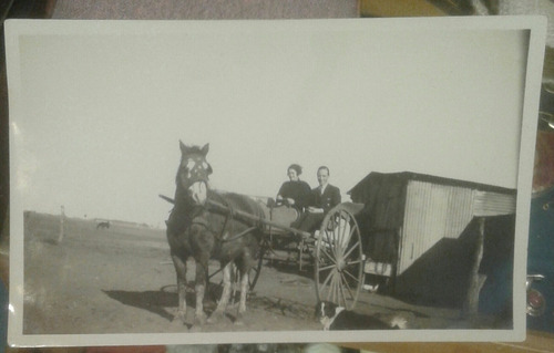 Foto Campo Criollo Carro Sulky Caballo O Breu 1933