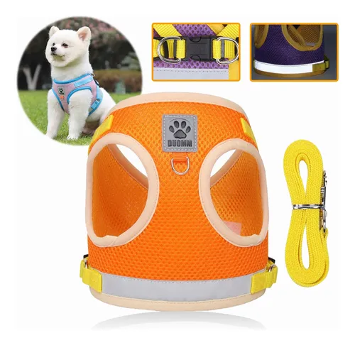 Cangurera Para Perro Chihuahua MercadoLibre