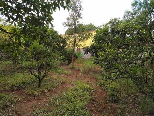 Imagem 6 de 9 de Chacara - Ref: 7115 - V-7115