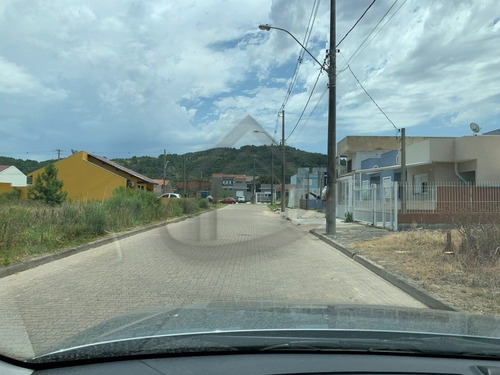 Imagem 3 de 4 de Terreno - Te00320 - 70452508