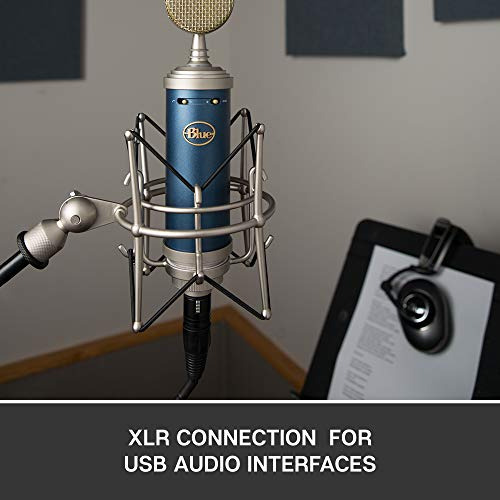 Blue Microphones - Micrófono Condensador Bluebird Sl