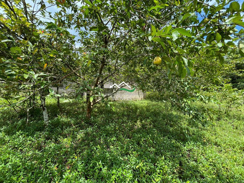 Imagem 11 de 20 de Chácara, Area Rural, Pedro De Toledo - R$ 100 Mil, Cod: 607 - V607