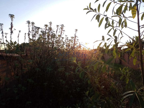 Imagem 3 de 4 de Oportunidade Terreno Murado C/ Portão Jd Treviso R$ 137 Mil - V10132714