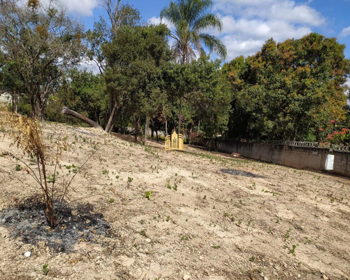 Imagem 27 de 30 de Terreno No Bairro Cidade Jardim - Esmeraldas - Te00295 - 68404585