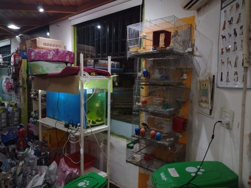 Imagen 6 de 10 de Venta De Fondo De Comercio Veterinaria
