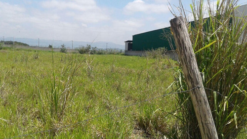 Imagem 3 de 5 de Terreno À Venda, 2152 M² Por R$ 1.060.000,00 - Eugênio De Mello - São José Dos Campos/sp - Te1372