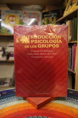Introducción A La Psicología De Los Grupos - Gil Rodriguez A