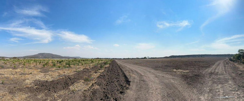 Magnífico Rancho Ganadero Con Excelentes Instalaciones Sup. 25 Hectáreas.