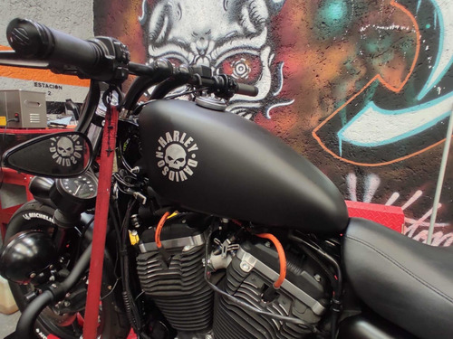 Imagen 10 de 14 de Harley Davidson Sporter 883 Nacional