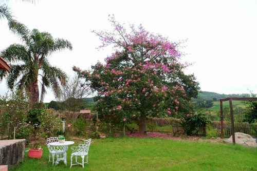 Imagem 12 de 14 de Maravilhoso Sitio 6.7 Alqueires / Com Açude