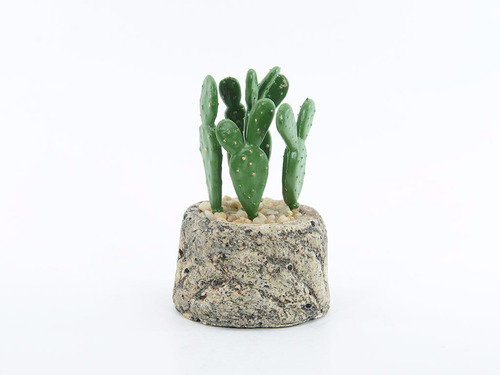 Cactus En Piedra 12 Cm. X 1 Unidad