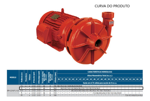 Motobomba De Incêndio Bpi-22 R 2 1/2 4 Voltagens 10cv 4 Volt