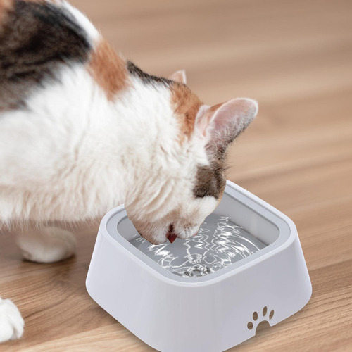 Cuenco De Agua Para Perros Sin Goteo Cuenco De Agua Para Per