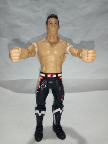 Figura Basic Wwe Muñeco Lucha Libre Luchador Evan Bourne