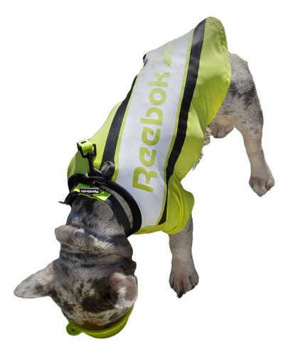 Camiseta Reebok Perro M 