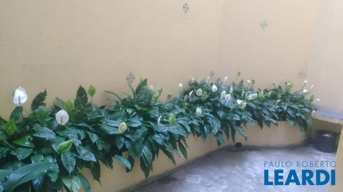Imagem 13 de 13 de Apartamento - Bela Vista - Sp - 629556