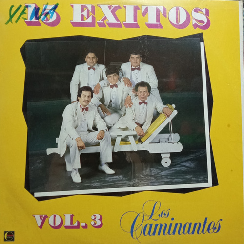 Disco Lp 15 Éxitos Vol.3 Los Caminantes 1989