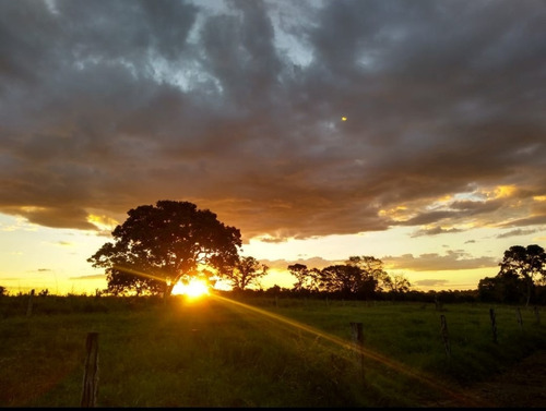 Imagem 3 de 3 de Fazenda Manabuiu - Lugar Curral Velho