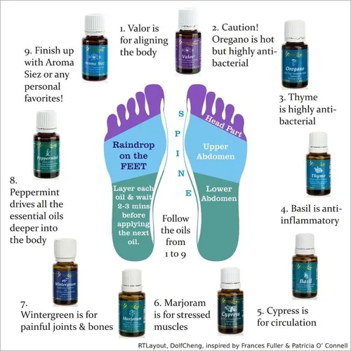 Aceites Esenciales Raindrop T cnica Gota Lluvia Young Living