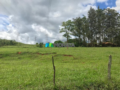 Imagem 3 de 15 de Fazenda - Zona Rural - Ref: 4667 - V-mta4667