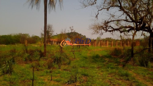 Imagem 5 de 8 de Sitio 54400 M² Bom Jardim - Jundiaí - Venda - Rural A Venda No Bairro Bom Jardim - Jundiaí, Sp - Ph07055