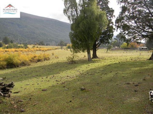 Chacra - Mallin Ahogado