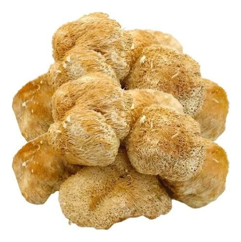 Melena De Leon Hongo X 1kg ( Nuevo Ingreso)
