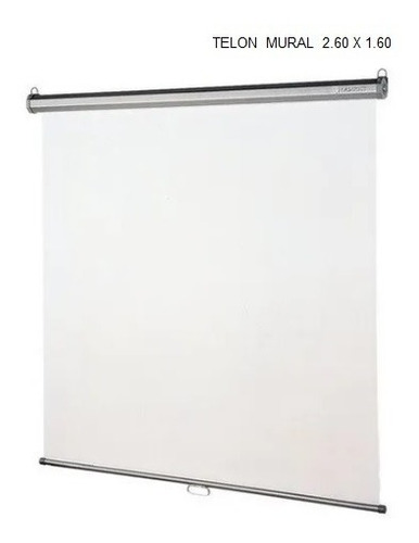 Imagen 2 de 2 de Telon Colgante 2.60 X 1.60