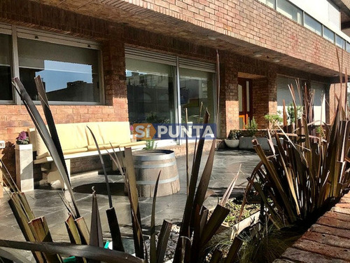 Imagen 11 de 15 de Apartamento En Venta - Peninsula