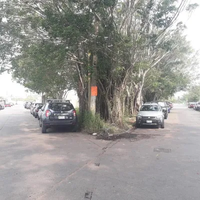 Terreno en renta