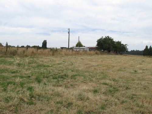 Casa En Parcela 8000m2 En Los Chilcos , Region De Los Rios
