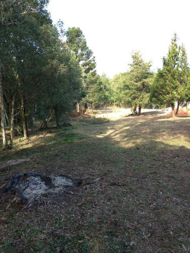 Imagem 13 de 15 de Sítio / Chácara Para Venda Em São José Dos Pinhais, Campo Largo Da Roseira, 3 Dormitórios, 1 Banheiro - 106_2-1239671