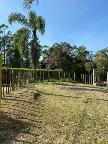 Imagem 4 de 7 de Terreno A Venda Em Suzano (palmeiras)
