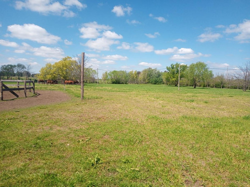 Imagen 12 de 30 de Campo En Venta Zona Polo, Pilar, Con 2 Canchas De Polo Y Varias Mejoras